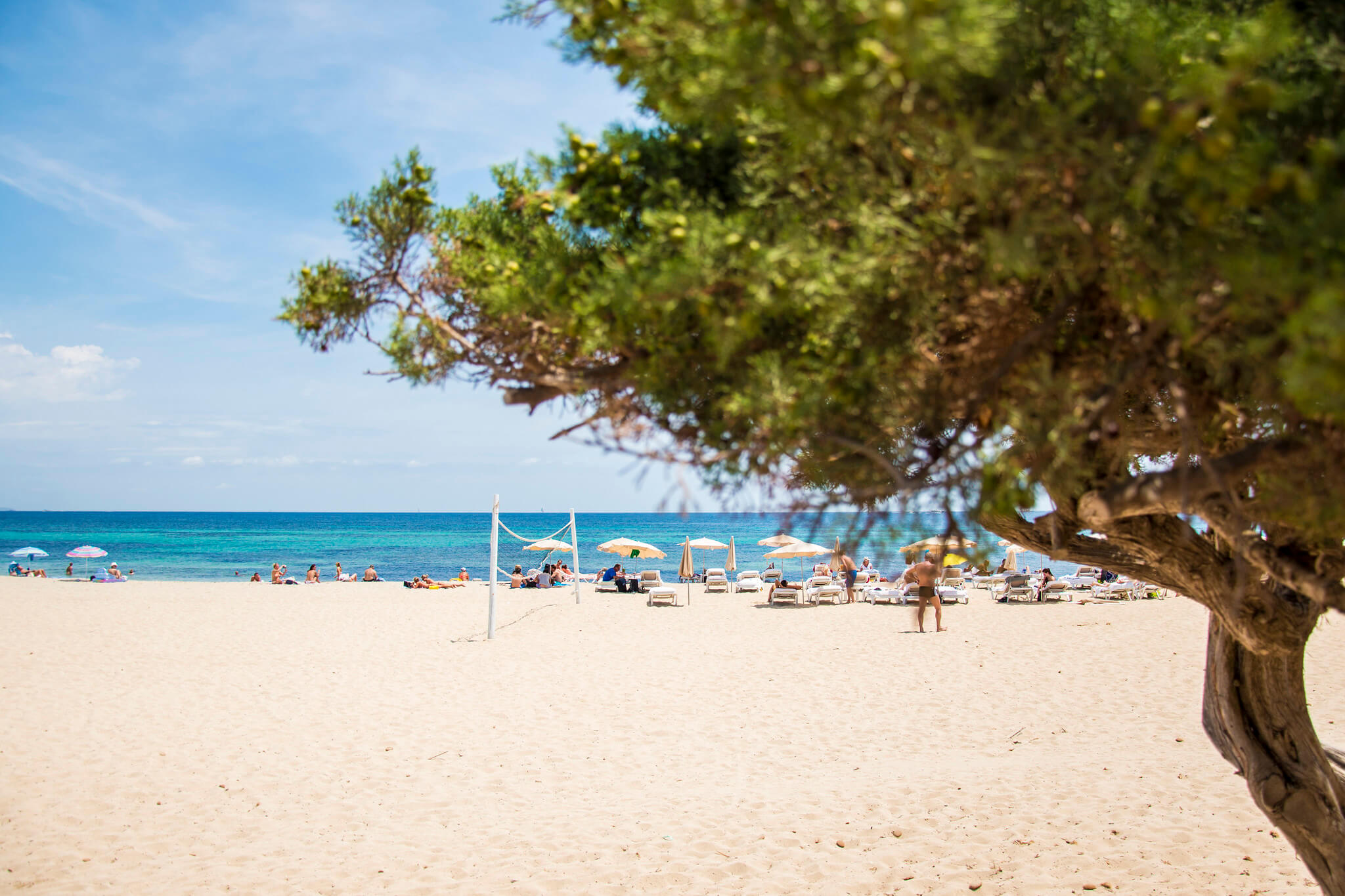 The most paceful beaches in Ibiza : Blog | Hotel Torre del Mar